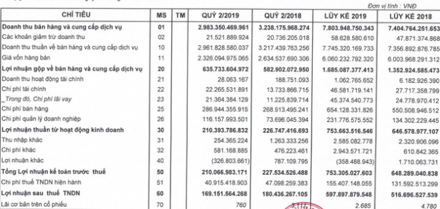 Ảnh hưởng bởi sự cố ERP, lợi nhuận PNJ sụt giảm trong quý 2/2019 - Ảnh 2.