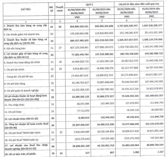 Ảnh hưởng của dịch bệnh tới công tác bán hàng, lợi nhuận quý 2/2020 của Pinaco giảm sút 40% so với cùng kỳ - Ảnh 1.