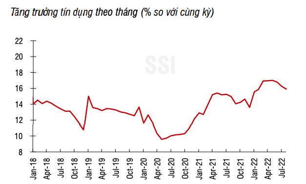 Áp lực lớn, Ngân hàng Nhà nước có thể tiếp tục phải nâng giá bán USD? - Ảnh 2.