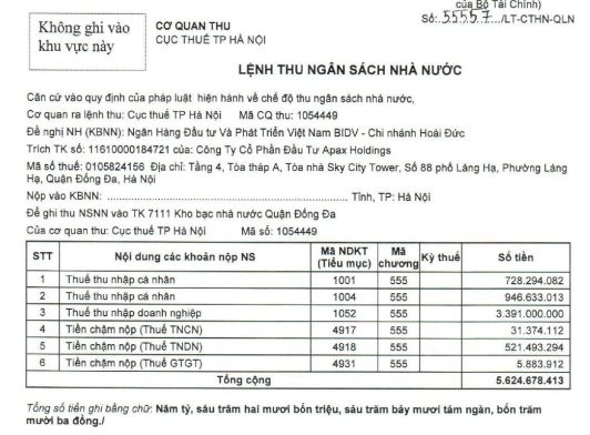 Apax Holdings (IBC) của Shark Thuỷ bị Cục Thuế TP. Hà Nội cưỡng chế thuế - Ảnh 1.