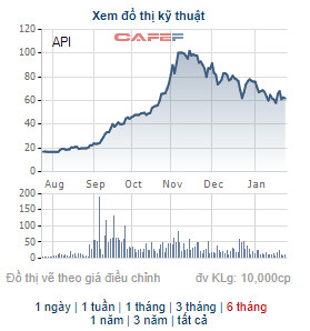 APEC Investment (API) triển khai phát hành gần 46 triệu cổ phiếu thưởng tỷ lệ 120% - Ảnh 2.