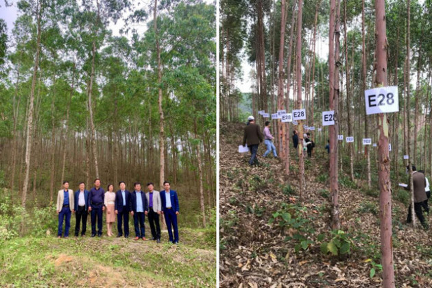 APG - Điểm sáng trên thị trường chứng khoán và hoạt động xanh cộng đồng - Ảnh 3.