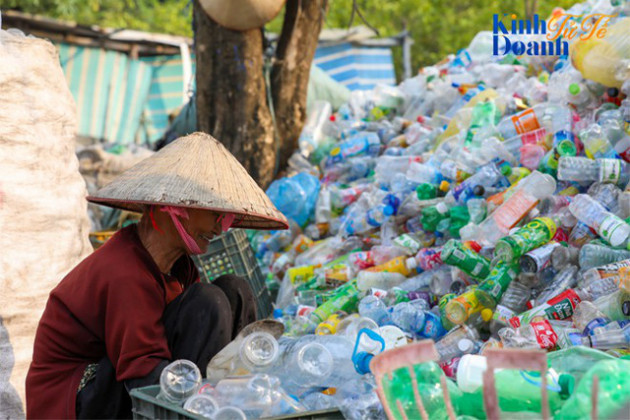 Bà Lê Từ Cẩm Ly Coca-Cola Đông Dương: Tái chế chai nhựa sẽ trở thành một cảm hứng sống! - Ảnh 3.