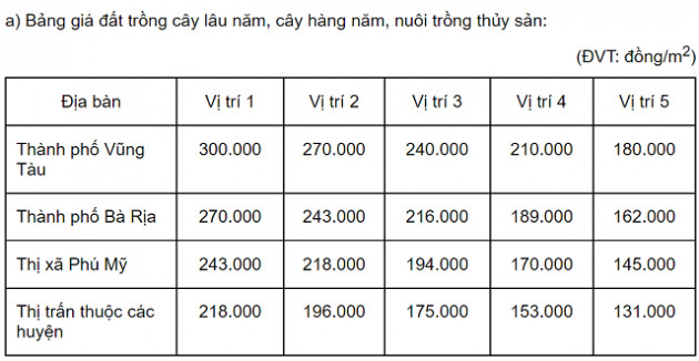 Bà Rịa - Vũng Tàu dự kiến tăng giá đất các loại đến 2024 - Ảnh 1.