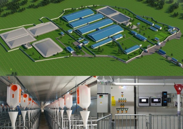 BAF – Công ty chăn nuôi hiện đại nhận quyết định niêm yết trên HOSE - Ảnh 1.
