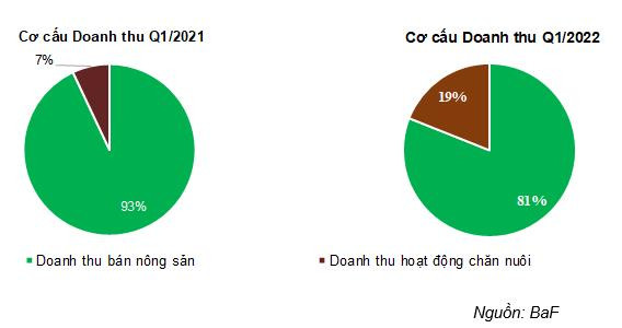 BAF - Doanh thu và lợi nhuận từ mảng chăn nuôi tăng trưởng ấn tượng - Ảnh 1.