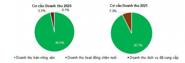 BAF - Lợi nhuận sau kiểm toán 2021 tăng gấp 7 lần 2020 - Ảnh 1.