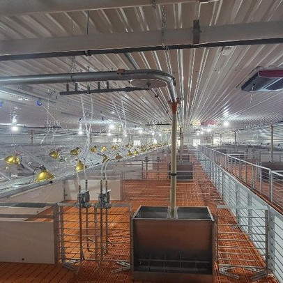 BAF - Thành công từ mô hình chăn nuôi hiện đại