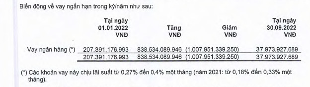 Bài toán kinh tế: Vì sao doanh nghiệp sở hữu lượng lớn tiền mặt nhưng vẫn đi vay ngân hàng? - Ảnh 2.