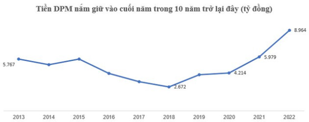 Bài toán tài chính thú vị ở Đạm Phú Mỹ: Tại sao nắm giữ két tiền quy mô gần 9.000 tỷ đồng mà vẫn phải đi vay? - Ảnh 1.