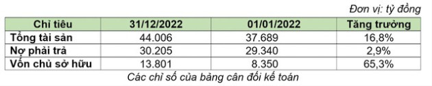 Bamboo Capital (BCG): Doanh thu năm 2022 đạt hơn 4.531 tỷ, lợi nhuận sau thuế hơn 546 tỷ - Ảnh 2.