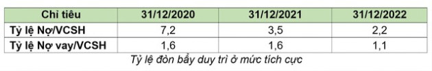 Bamboo Capital (BCG): Doanh thu năm 2022 đạt hơn 4.531 tỷ, lợi nhuận sau thuế hơn 546 tỷ - Ảnh 3.