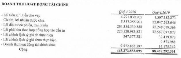 Bamboo Capital (BCG): Doanh thu tài chính đột biến, quý 4/2020 lãi cao gấp 11 lần cùng kỳ năm trước - Ảnh 1.