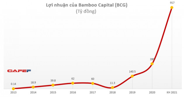 Bamboo Capital (BCG): Doanh thu tài chính đột biến, quý 4/2020 lãi cao gấp 11 lần cùng kỳ năm trước - Ảnh 2.