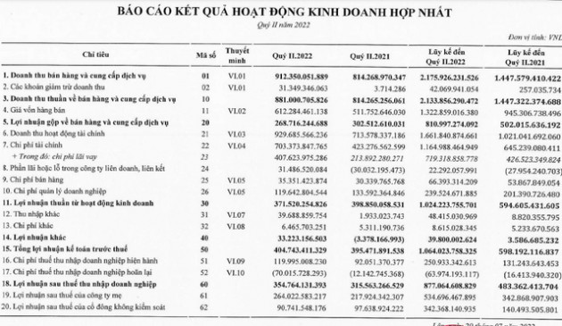 Bamboo Capital (BCG): Lợi nhuận nửa đầu năm tăng 81% lên 877 tỷ đồng - Ảnh 1.