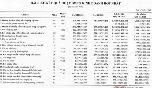 Bamboo Capital (BCG): M&A đóng băng khiến lợi nhuận quý 3/2022 chỉ còn 39 tỷ đồng dù doanh thu tăng vọt - Ảnh 1.