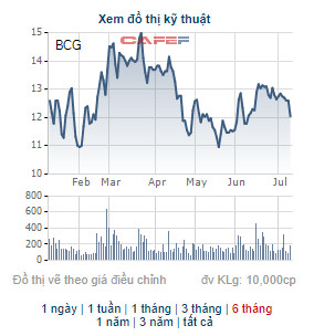 Bamboo Capital (BCG) phát hành 90 triệu cổ phiếu để chuyển đổi cho 900 tỷ đồng trái phiếu - Ảnh 1.