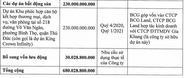 Bamboo Capital (BCG) sắp chào bán 68 triệu cổ phần, tăng vốn lên 2.040 tỷ đồng - Ảnh 2.