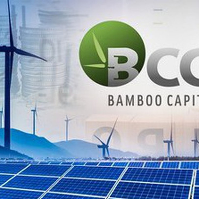 Bamboo Capital lãi ròng quý I tăng gần 103%