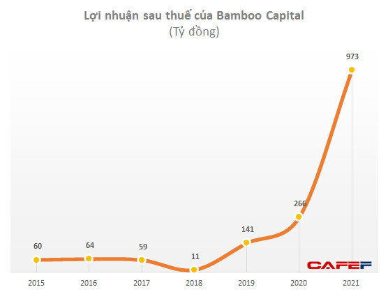 Bamboo Capital: LNST năm 2021 tăng đột biến lên 973 tỷ đồng, vốn chủ sở hữu tăng mạnh - Ảnh 1.