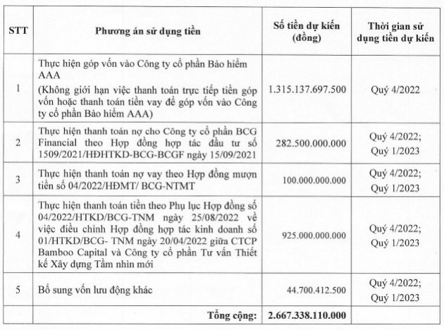 Bamboo Capital sắp phát hành gần 520 triệu cổ phiếu, trong vòng 3 năm huy động gần 10.000 tỷ từ TTCK - Ảnh 1.