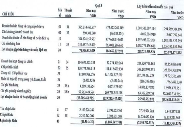 Bán công ty con, Đức Long Gia Lai (DLG) chuyển từ lỗ trăm tỷ sang có lãi mỏng trong quý 3/2021 - Ảnh 1.