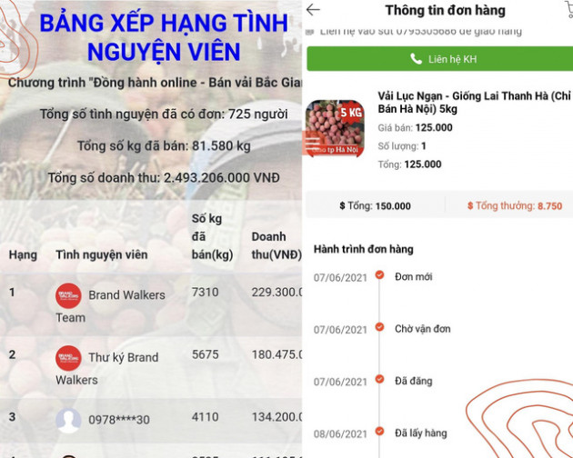 Bán online 100 tấn vải Bắc Giang trong 10 ngày - Thành công này của Cuccu.vn đến từ đâu? - Ảnh 2.