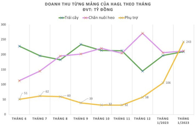 Bán thịt heo không có lãi, Hoàng Anh Gia Lai đạt hơn trăm tỷ lợi nhuận tháng 2/2023 chủ yếu nhờ chuối - Ảnh 1.