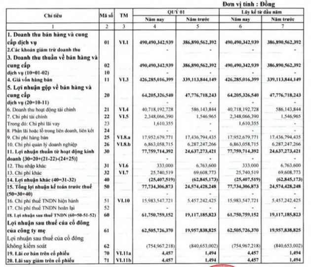 Bán tiếp cổ phiếu VSC, quý 1 Vận tải SAFI lãi 62 tỷ đồng cao gấp 3 lần cùng kỳ - Ảnh 1.