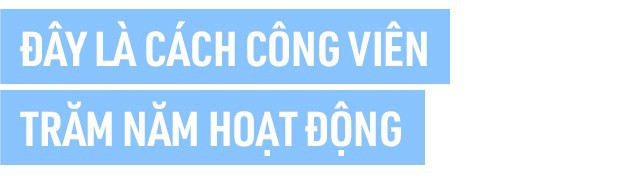 Bangkok đang chìm dần vào lòng biển cả, và đây là dự án vô cùng sáng tạo của người Thái giúp cho thủ đô thoát khỏi nạn úng ngập