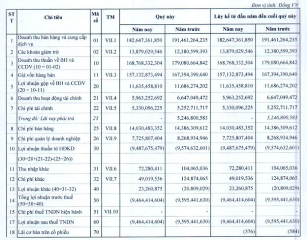 Bánh kẹo Hải Hà (HHC): Quý 1 lỗ 9,5 tỷ đồng - Ảnh 1.