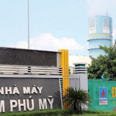 Bao bì Đạm Phú Mỹ (PMP) đặt mục tiêu tăng trưởng lợi nhuận trong năm 2022, dự kiến chia cổ tức 12%