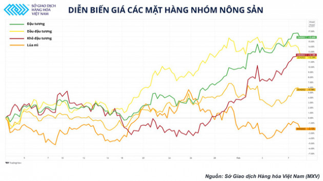 Báo cáo cung – cầu không đạt kỳ vọng, thị trường nông sản đang dần chuyển mối quan tâm sang mùa vụ tại Mỹ - Ảnh 1.