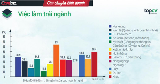 Báo cáo tuyển dụng TopCV: Nhân sự trong mảng kỹ thuật là những người trung thành nhất, cả thèm chóng chán nhất là ngành PR-marketing - Ảnh 2.