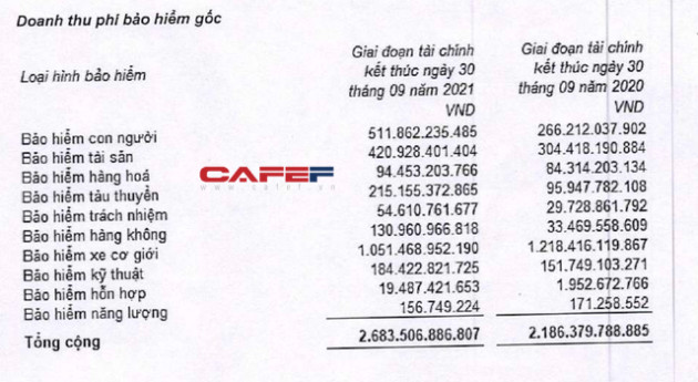 Bảo hiểm Quân đội MIG: 9 tháng lãi tăng 52% cùng kỳ năm trước, vượt kế hoạch năm nhưng đầu tư cổ phiếu Hoàng Anh Gia Lai lỗ gần 80% - Ảnh 2.