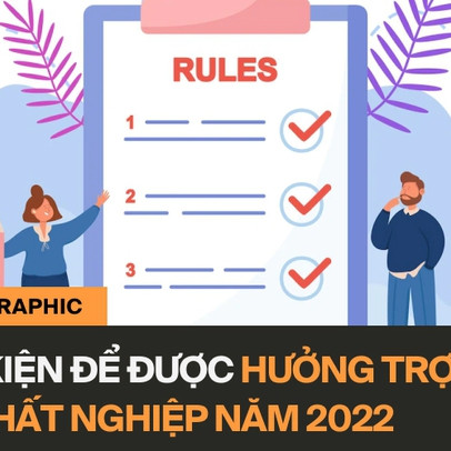 Bảo hiểm thất nghiệp tối đa 280 triệu: Người lao động cần những điều kiện gì?