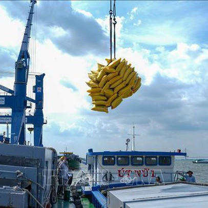 Báo Italy: Việt Nam sẽ trở thành 'Con hổ mới ở châu Á'