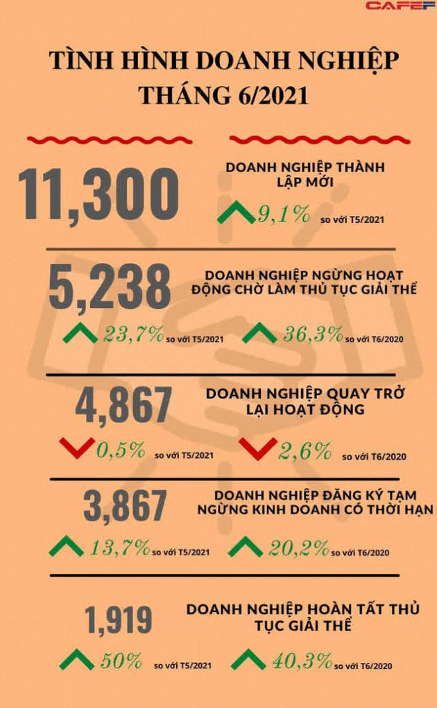 Bất chấp Covid-19, số doanh nghiệp và vốn đăng ký mới đạt kỷ lục - Ảnh 1.