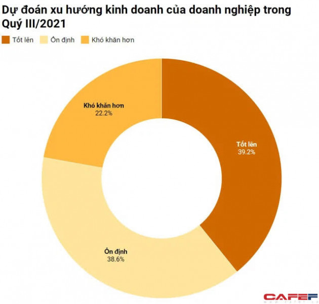 Bất chấp Covid-19, số doanh nghiệp và vốn đăng ký mới đạt kỷ lục - Ảnh 2.