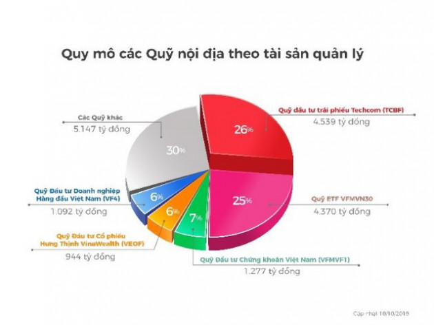 Bất chấp thị trường chứng khoán rung lắc dữ dội, quỹ đầu tư chuyên về trái phiếu vẫn tăng trưởng tích cực - Ảnh 1.