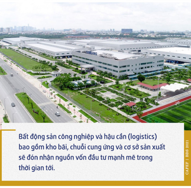 Bất động sản 2021: Năm của những kỷ lục sốt đất, đất đấu giá lập đỉnh cao bậc nhất thế giới - Ảnh 12.