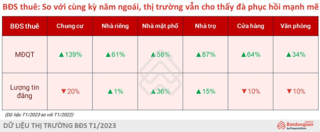 Bất động sản đầu năm: Người dân Hà Nội và TP.HCM đổ xô đi tìm mua chung cư, biệt thự - Ảnh 2.