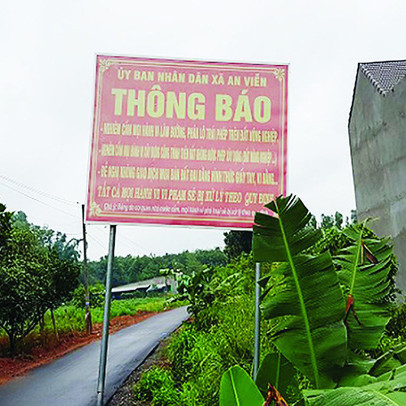 Bất động sản Long Thành: Báo động thông tin ảo