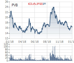 Bất ngờ báo lỗ quý 4 sau ba quý lãi to, PVB không hoàn thành kế hoạch năm 2018 - Ảnh 2.