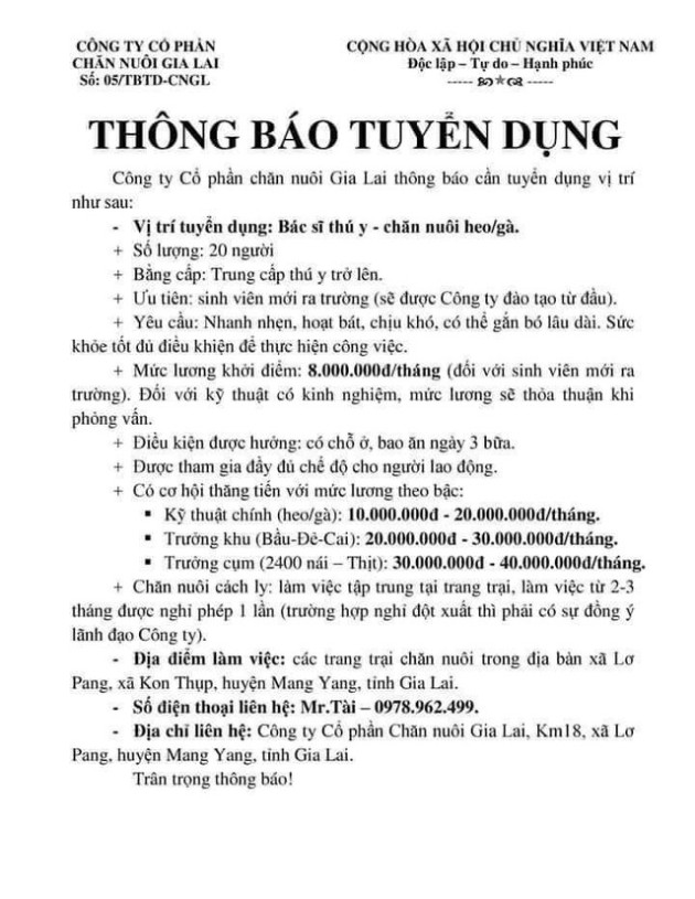 Bầu Đức chiêu mộ bác sĩ thú y chăm đàn gà – heo, trả lương hậu hĩnh đến 40 triệu/tháng - Ảnh 1.