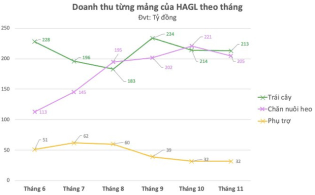 Bầu Đức chính thức bán bò Lào, chuỗi nông nghiệp khép kín có vai trò quan trọng của một công ty giấy - Ảnh 2.