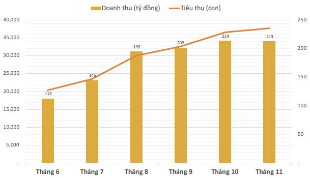 Bầu Đức đưa cổ đông đi thực địa dự án Campuchia: Giá heo đang cao hơn 40% tại Việt Nam, đã có 1 cụm chuồng khoảng 60.000 heo thịt - Ảnh 1.