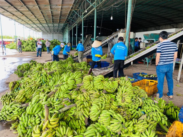 Bầu Đức trong chuyến thực địa: Tôi không bao giờ chơi chứng khoán - Ảnh 6.