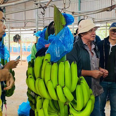 Bầu Đức trong chuyến thực địa: "Tôi không bao giờ chơi chứng khoán"