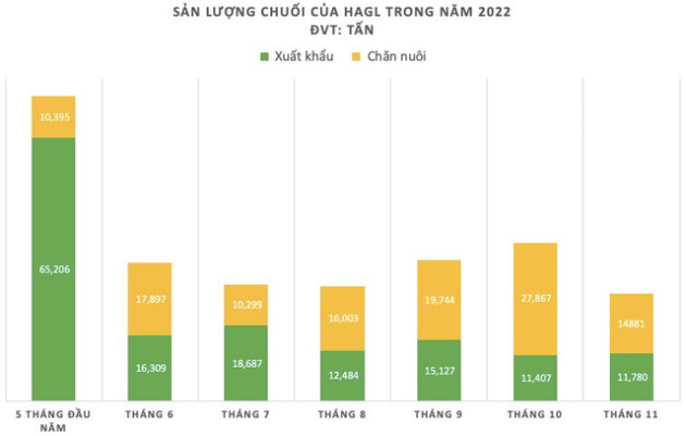 Bầu Đức trước thềm năm tuổi: Câu chuyện hồi sinh năm 2022 và “Người ta nói không sai, nhưng người ta không hiểu HAGL mà thôi!” - Ảnh 4.